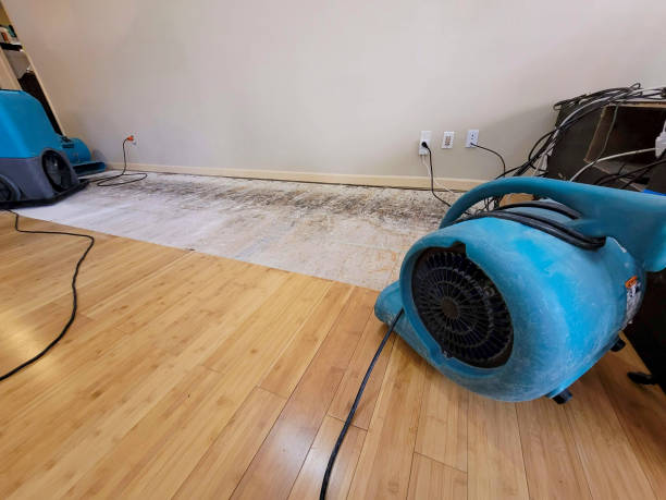 Professional Basement Flood Cleanup technician working in Longview, TX